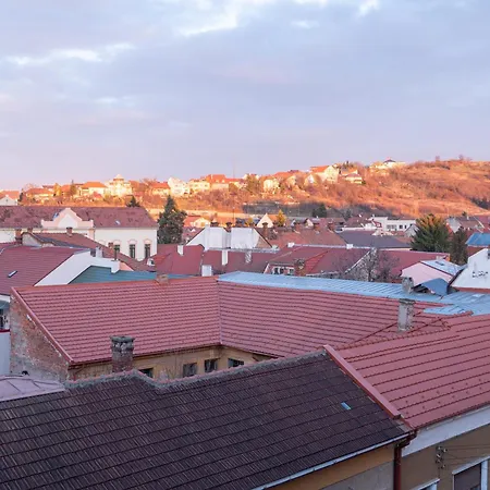 Tei apartments Oradea Zimmer foto