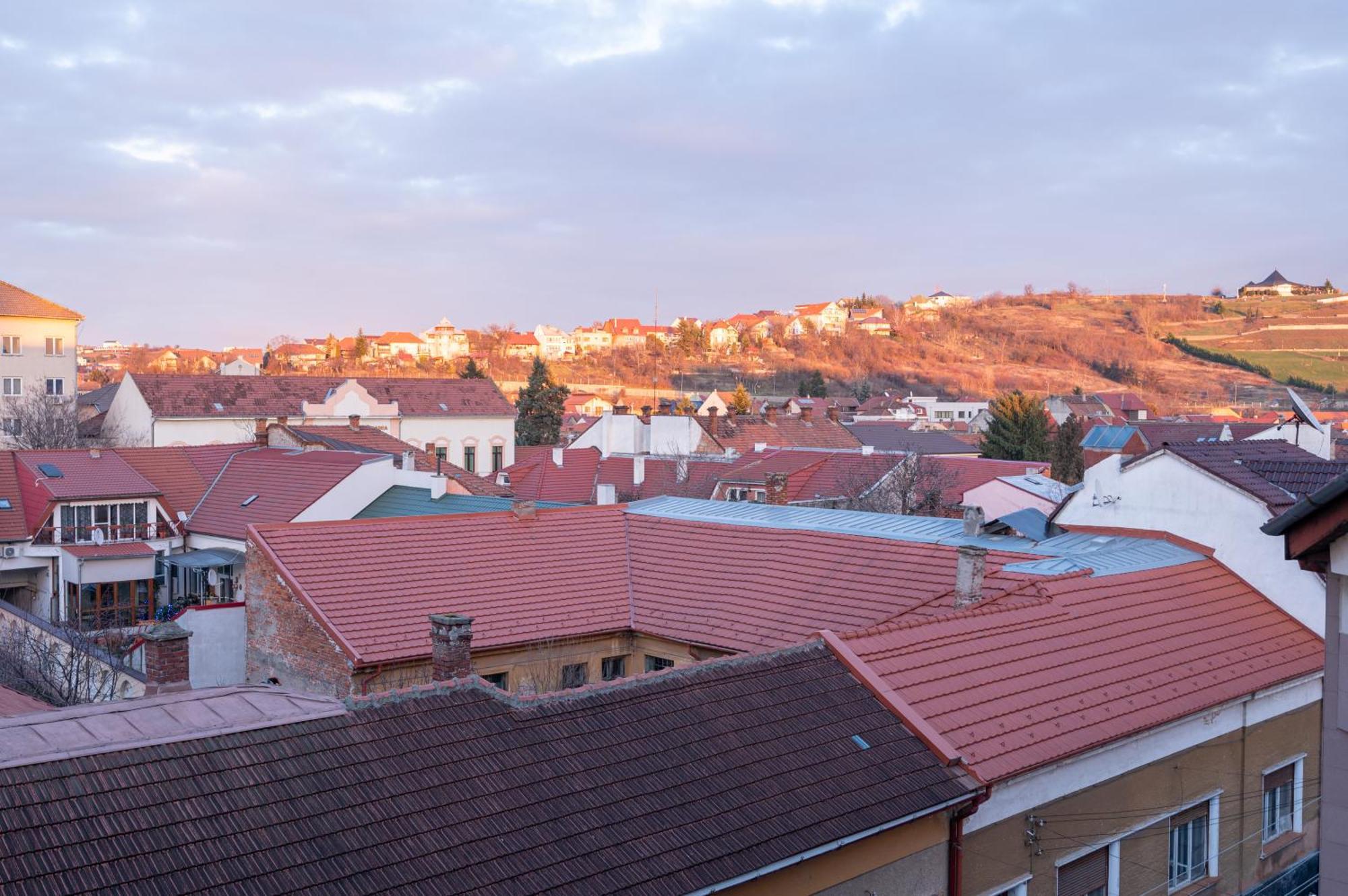 Tei Apartment Oradea